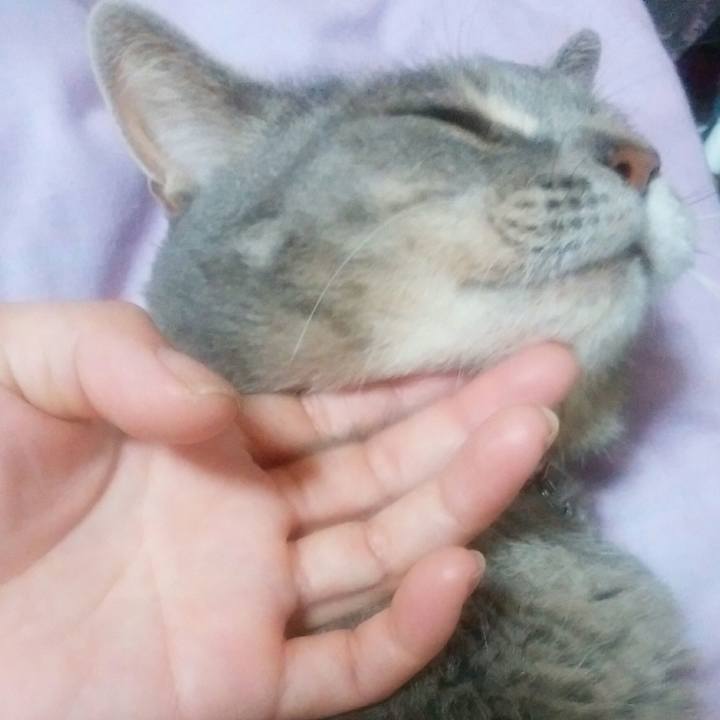 5a1f1454 f10e 46d9 9e06 b123b72bf418