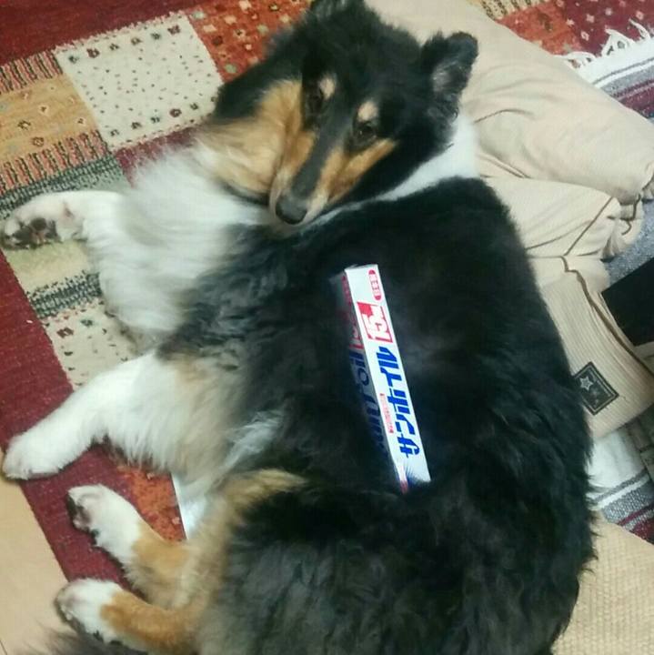 5a1f374d b5f4 4ad4 8d19 ad3cf29b5e1e