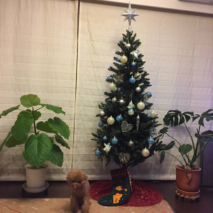 5a1f376c 24ff 4409 8c3e bcdbe993ee4e