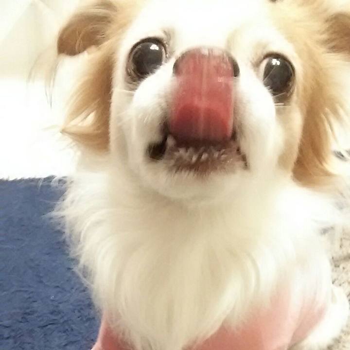 5a1f5226 4379 4b31 b025 8b0bc170568e