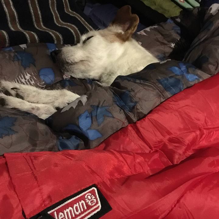 5a1fabf7 8429 4ec6 b332 1cf88ae2ebc2