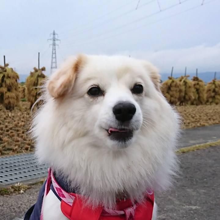 5a211254 8cce 43db a51b f1a188dc043f