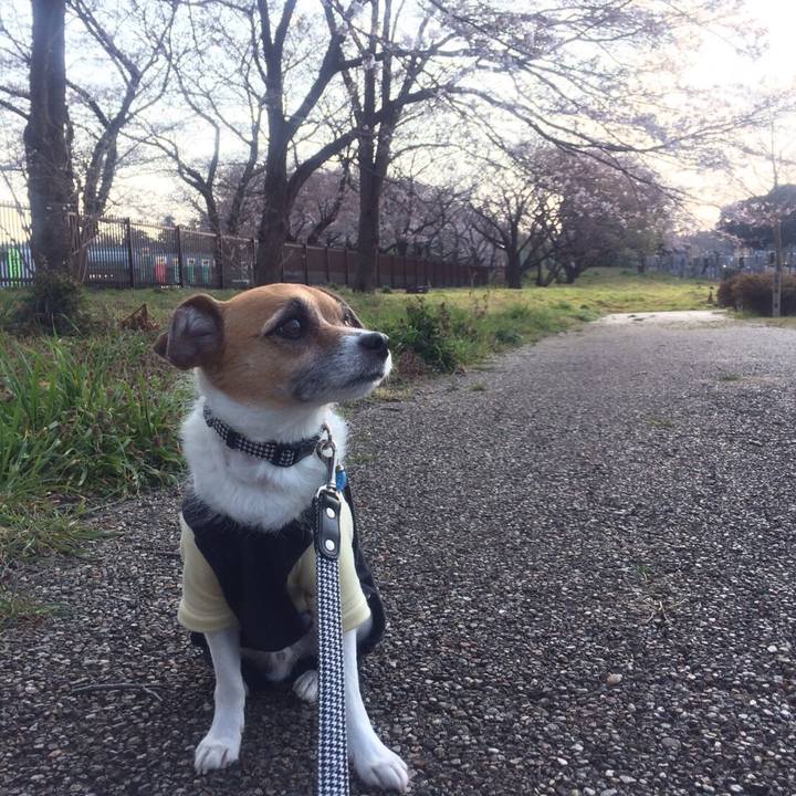 5a211c9f 144a 4d94 814a 5d0d6411735f