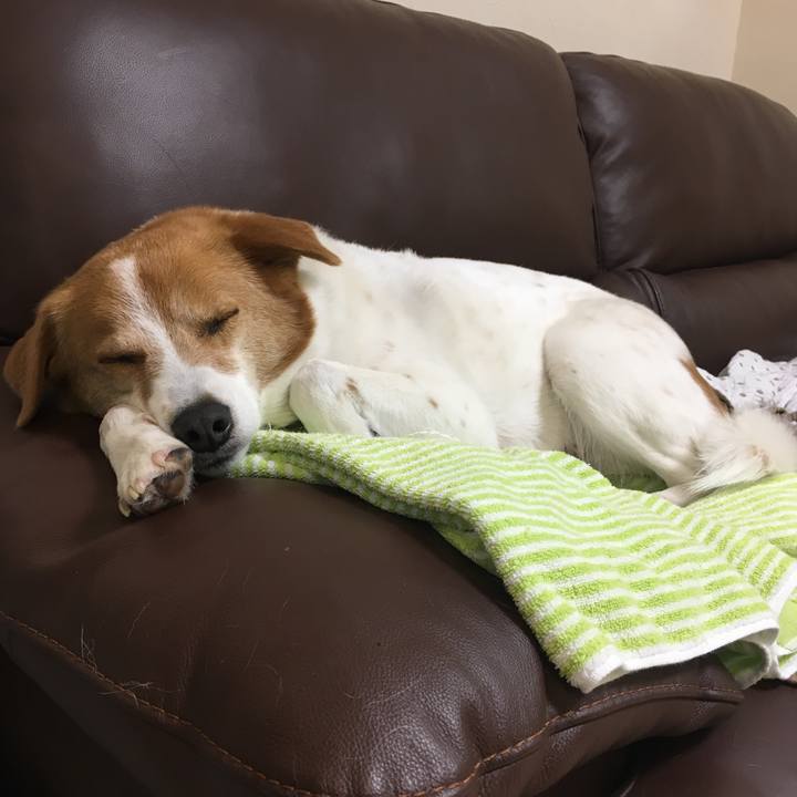 5a21b500 1dc9 4211 a736 5bb8be96e87c