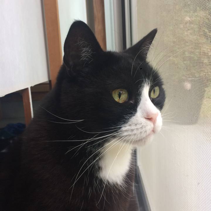 5a223e2f 07ef 4faf baf5 5a95704a6160