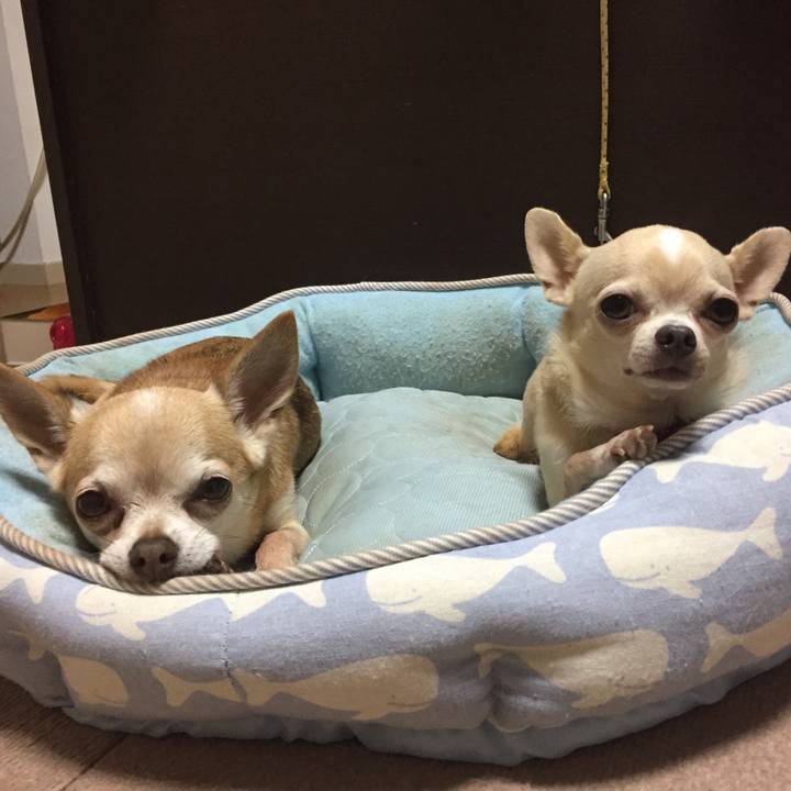 5a22c1da 6e8a 457b a7fc 472d727a7a5f