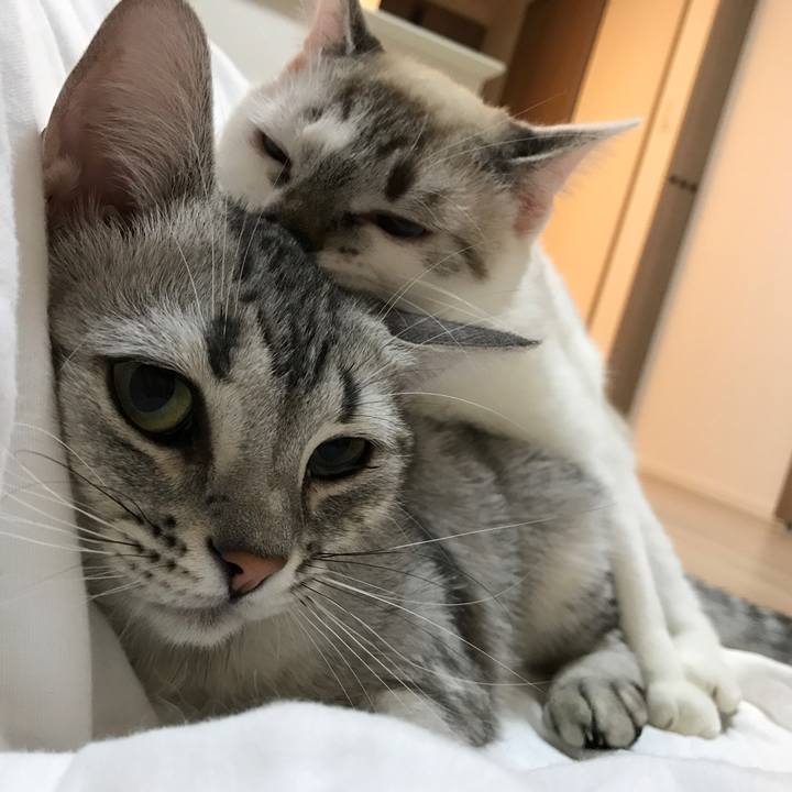 5a2300a0 7c7e 4d6c b5da d271f303ebaa