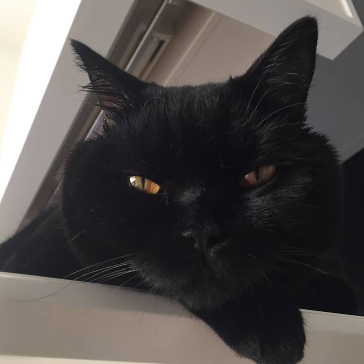 5a23f33d 55fb 4b5d 90a5 6cec37ad1384