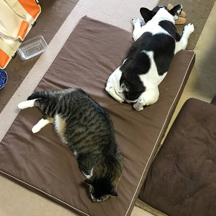 5a24726a f6ea 472c 8998 5c3f8430769d