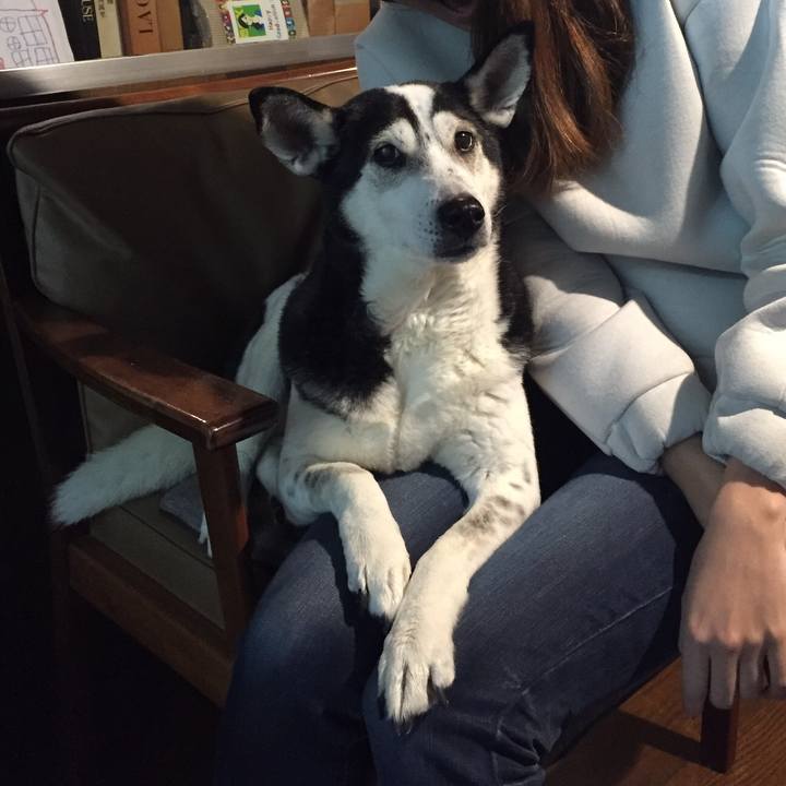 5a24e81b 1406 4043 9c65 c9a653a79da8