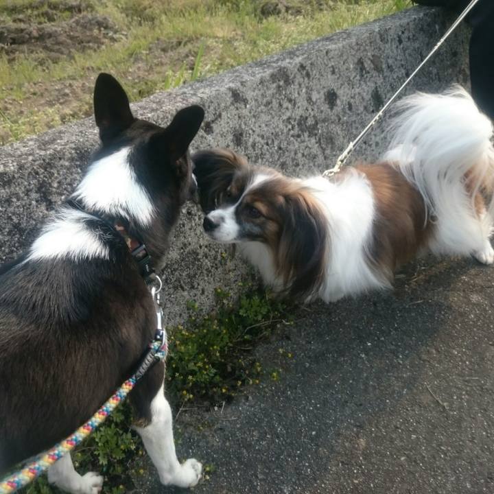 5a24fe1e 47a7 4ab7 a096 aedc956b0919