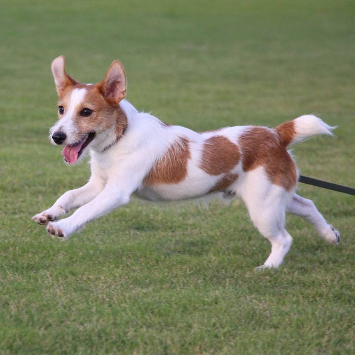 5a252dbc bdcd 400f 9818 356a0dc37055