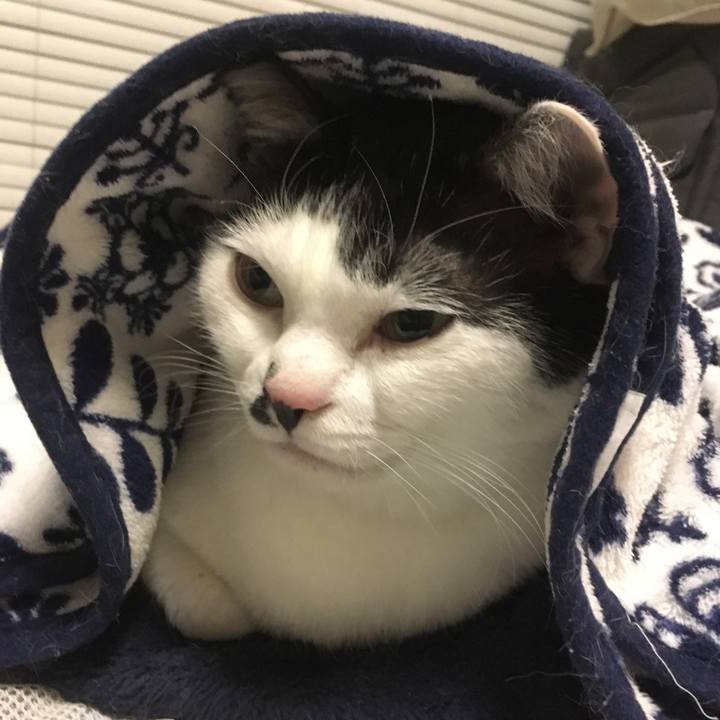 5a262f00 30f0 4c22 96f7 f2e347d493a3