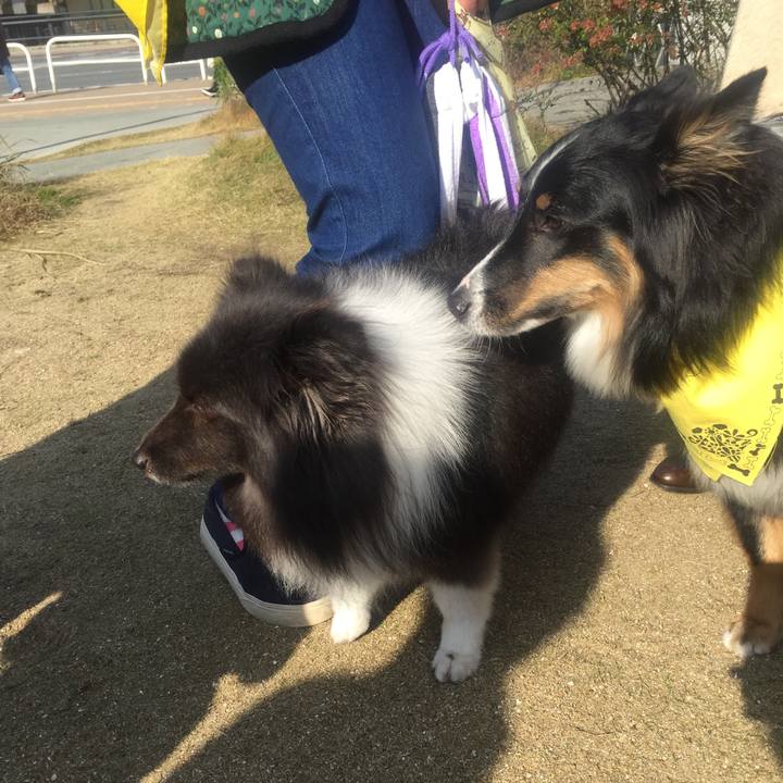 5a263b12 3579 40f0 974f a3e224158cb8