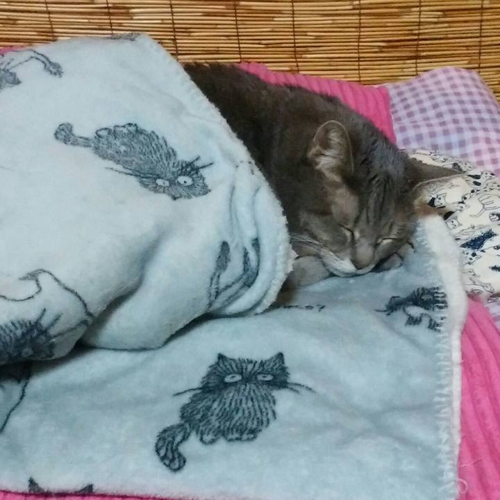 5a26d18e 034c 4397 8614 593f70c65154