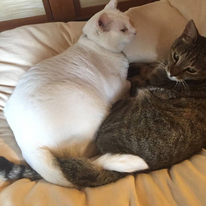 5a27c7e9 6192 4222 bc5b fdac83ca29f1