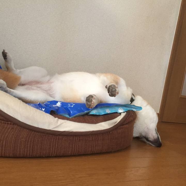 5a284316 db2d 4e7e a223 4ae70af554ad