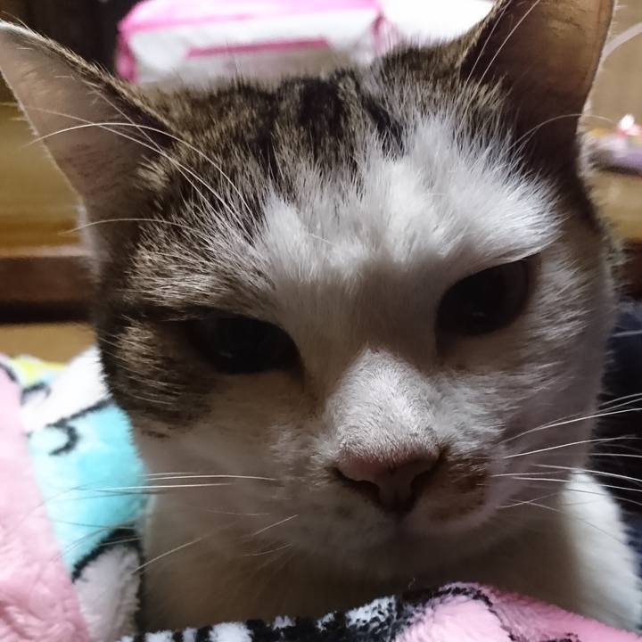 5a28f938 34a0 4716 90bf 228642a140d8