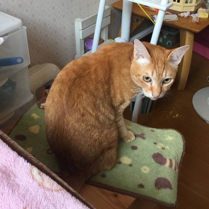 5a292d42 51ca 47a2 aab1 bf120c93ce5b