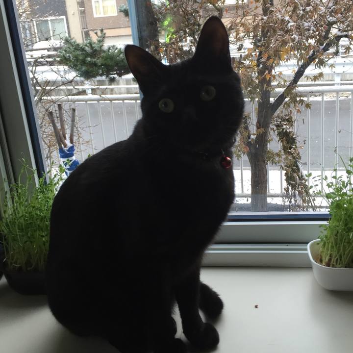 5a2955a7 e2cf 4343 a3c0 ec40aa4c10f2