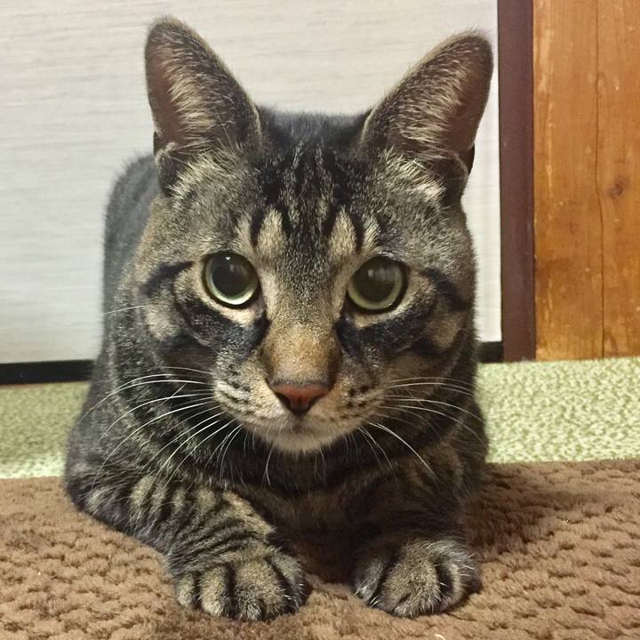 5a296541 3afa 4d22 a1f2 146533115bef