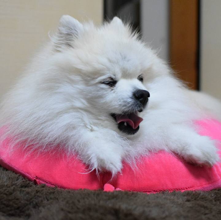 5a2975e8 000d 45b0 b004 69c42010f2e7