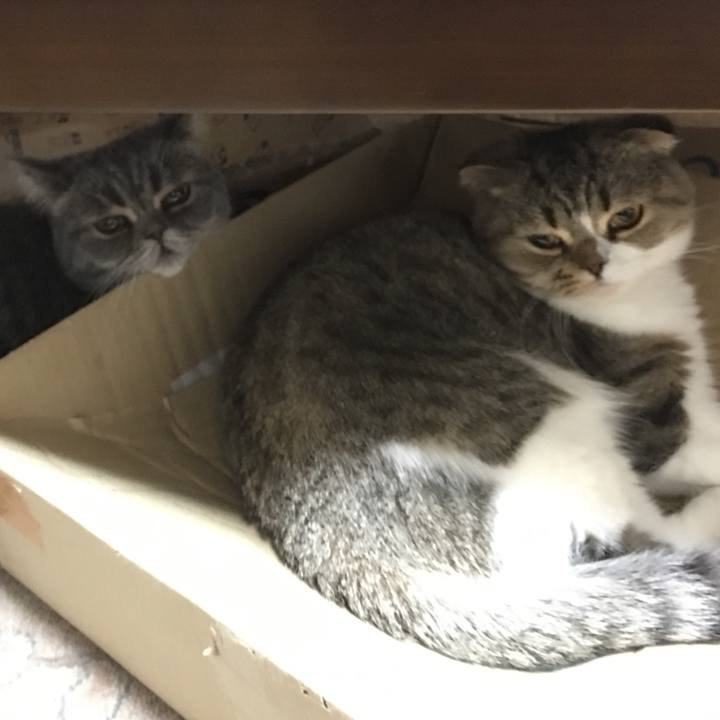 5a299171 2c68 40e4 8191 5fd2f7cf0309