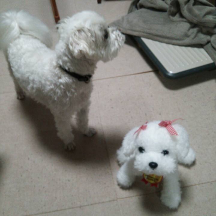 5a2a1f9b 2b16 4a50 b204 9038f526b134