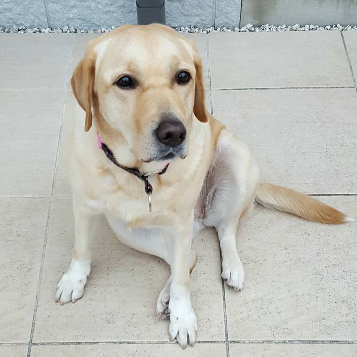 5a2aa56e 2209 4675 af65 d982d969d14a