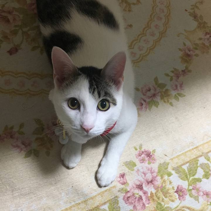 5a2b78b8 5249 465b 97ec 4d2b2527814f