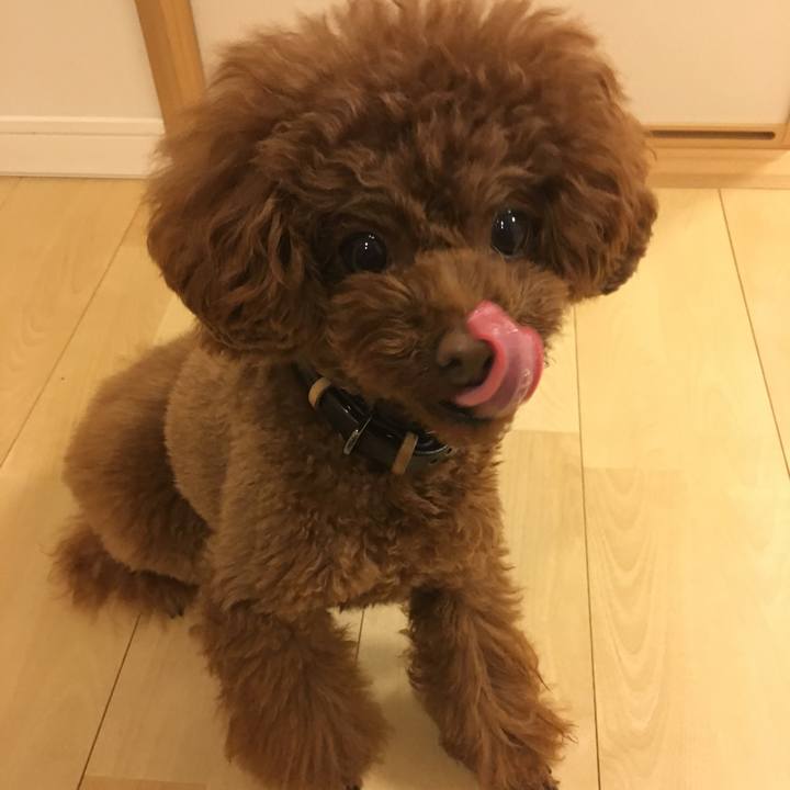 5a2bbf7e b113 4abc a9c3 05943933401c