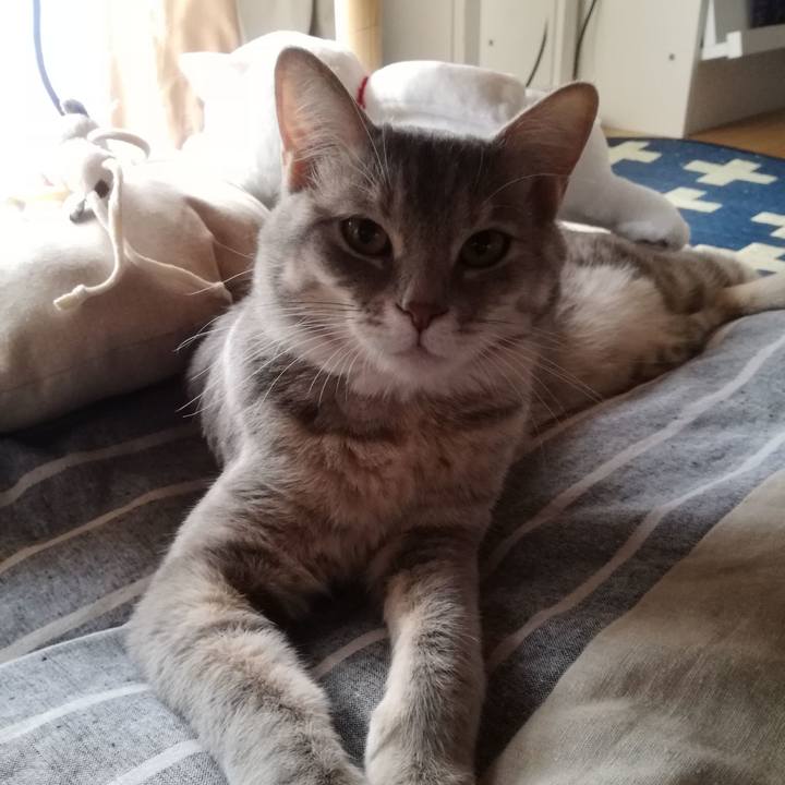 5a2bdb27 d259 49cb 8726 bb3199cd5836