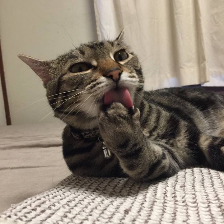 5a2ce733 d994 4568 a483 fdcea36dec51