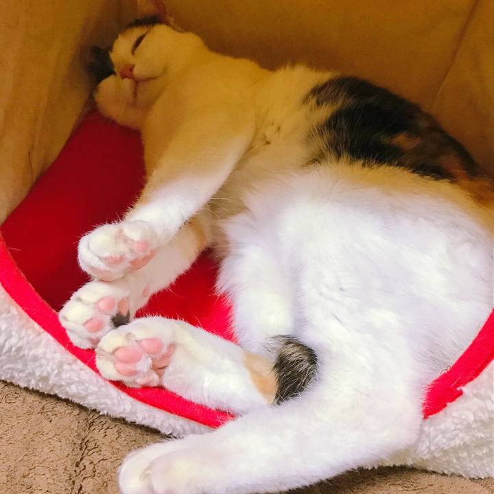 5a2db8c1 7d11 4409 810b ec790c8ec74f