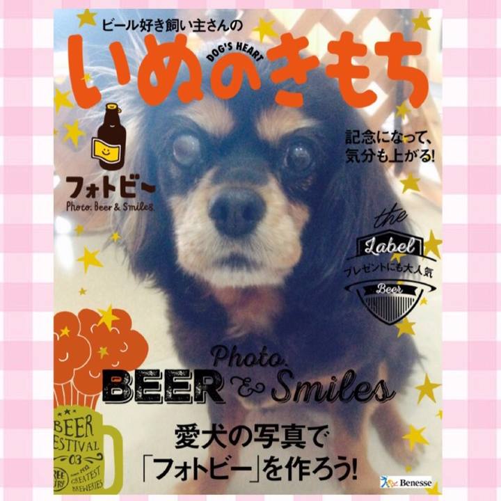 5a2e0d2b 1ffa 4435 b1ee 75d632b1c903