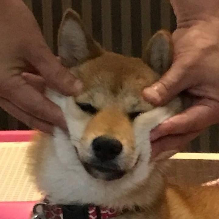 5a2e2e70 1ba3 413b b251 7d11700e3d76