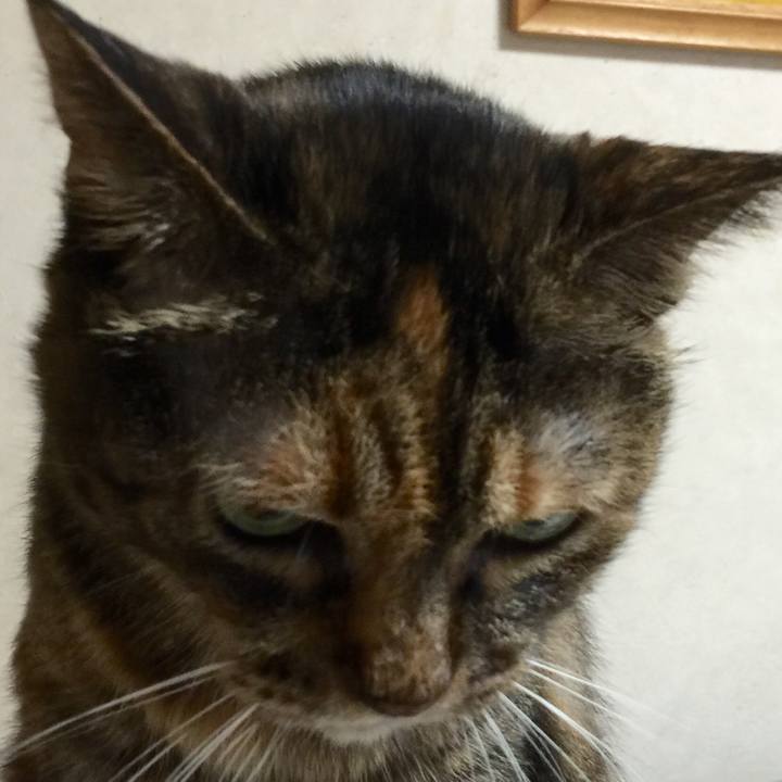 5a2ee3ec bf8c 4113 a139 74c8d4872f8f