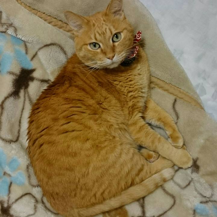 5a2f1450 7629 41d8 bf6a c14b576d7642