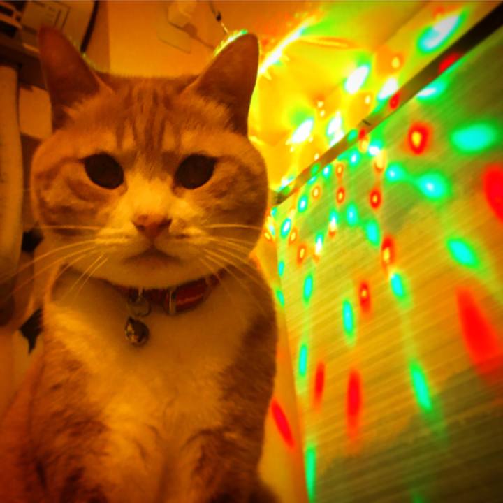 5a2f5ea9 0b90 4525 b9fc d8d4b2d788b7