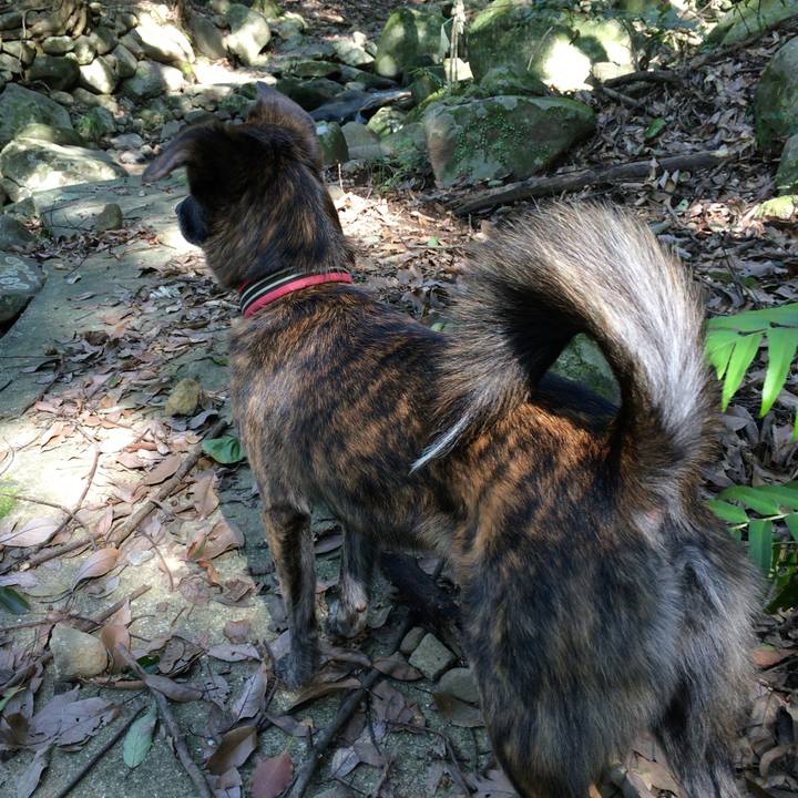 5a2fd825 6b02 410d b886 d3df0f60f615