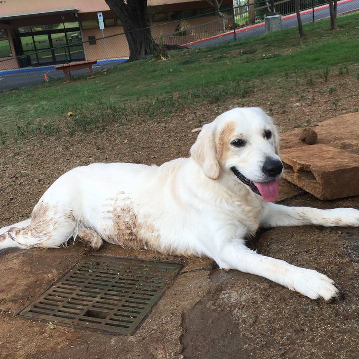 5a310769 f1aa 45a3 8196 5f7abaf2ffff