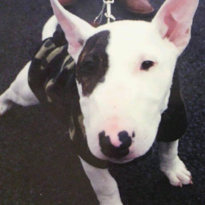 5a314a05 7e8b 4977 bbd3 2d95c6635ad5