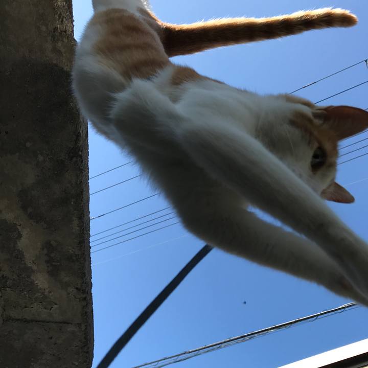 5a3172a4 4b9b 4057 bbc8 8277d8b7ead4