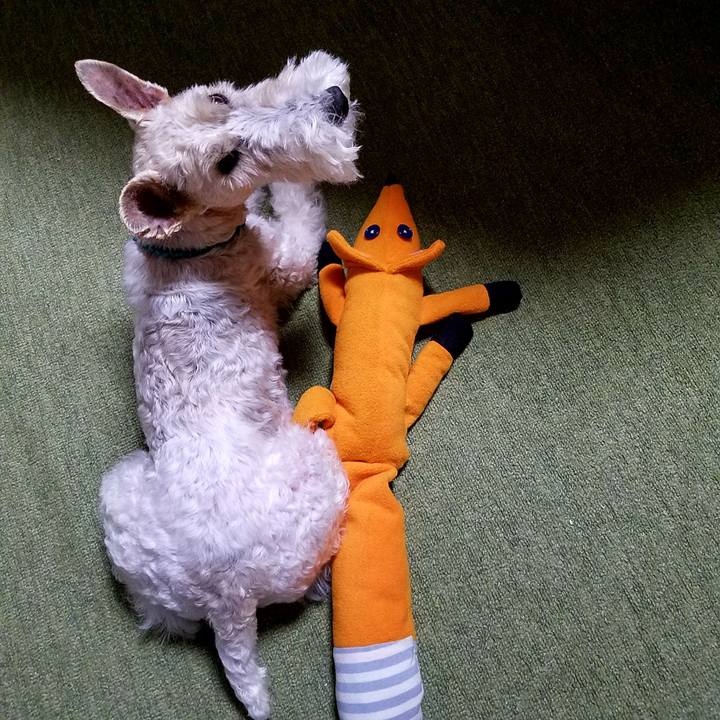 5a31a9ee dbf5 4c68 a506 f910c451ae39