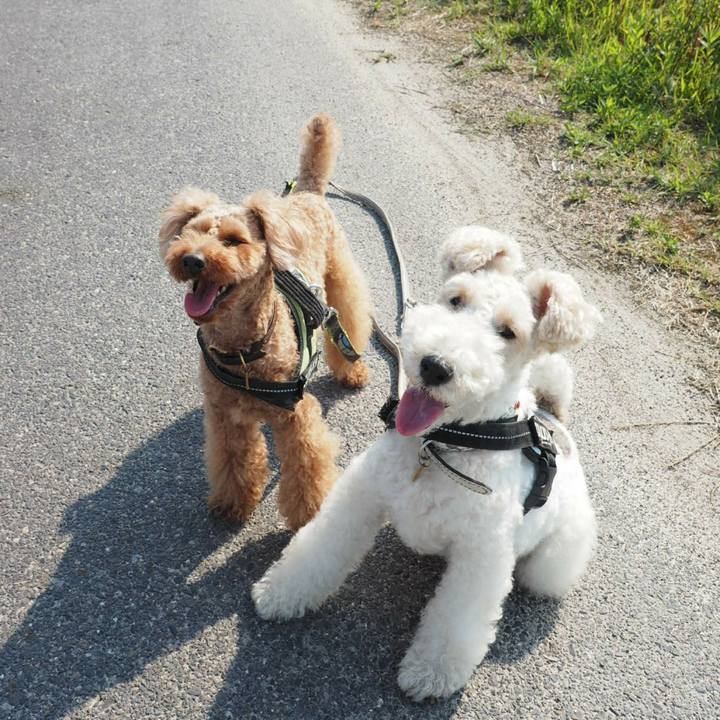 5a321f31 580d 45c2 a138 e9a36cf101ab