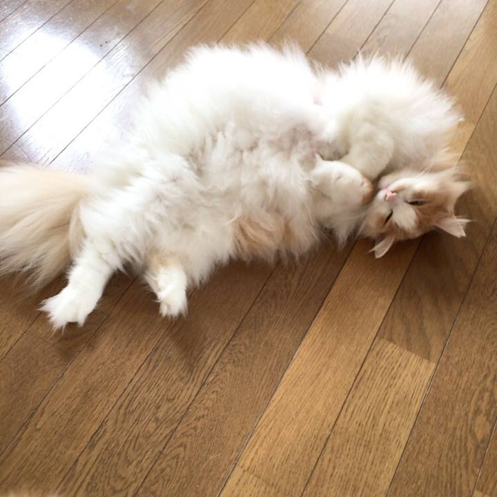 5a3293f7 7ec4 41fd bda8 cdba1c0b2ddd