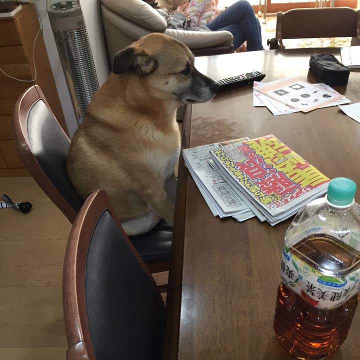 5a32ab34 cd87 4ef4 9467 6af71253ca0e