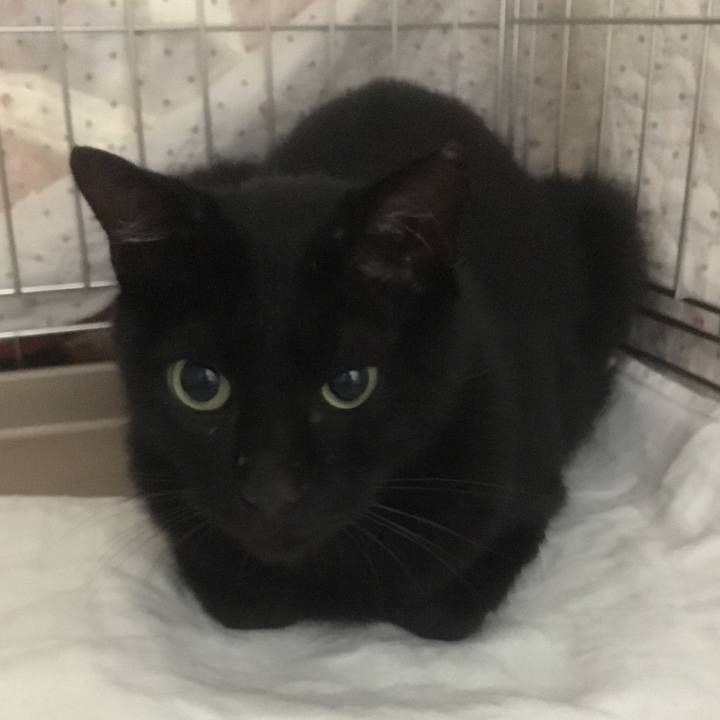 5a33ea66 ac41 4d54 be5b fd5b09e4ed35