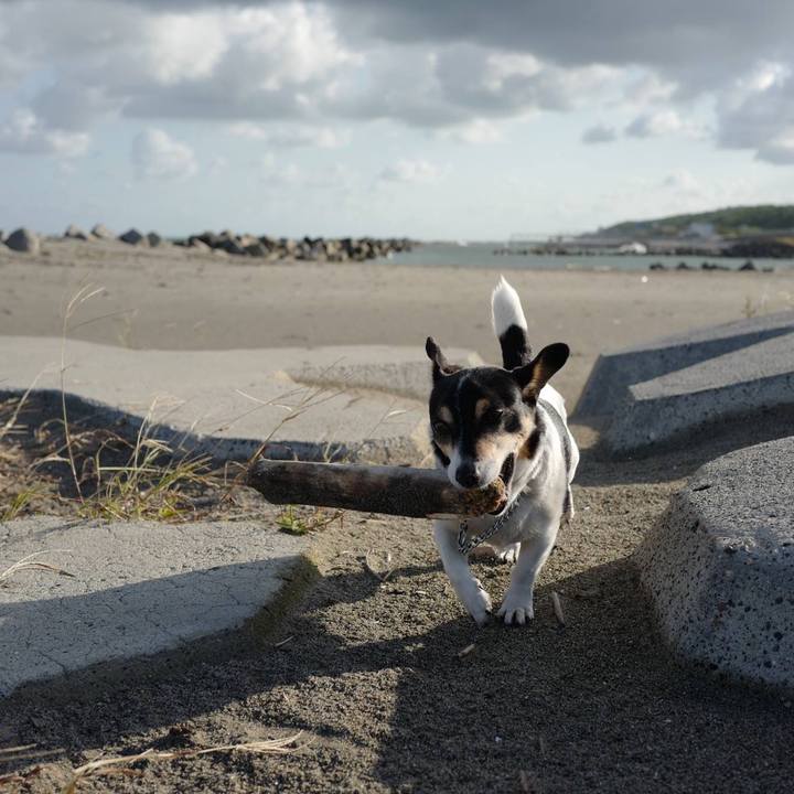 5a348594 e2d3 4e1a 9254 a9e2e49f0d32