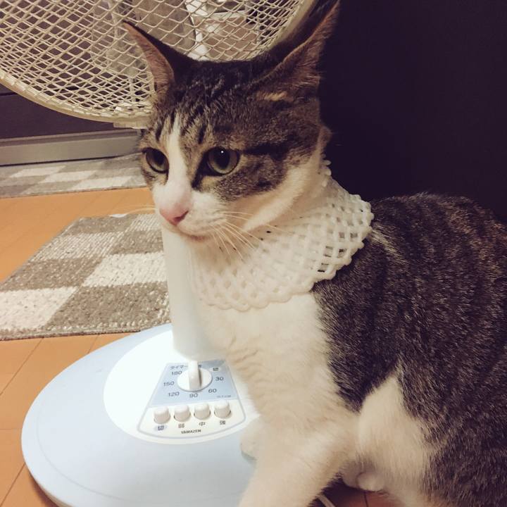 5a350443 d18b 471e 990c f64431fac289